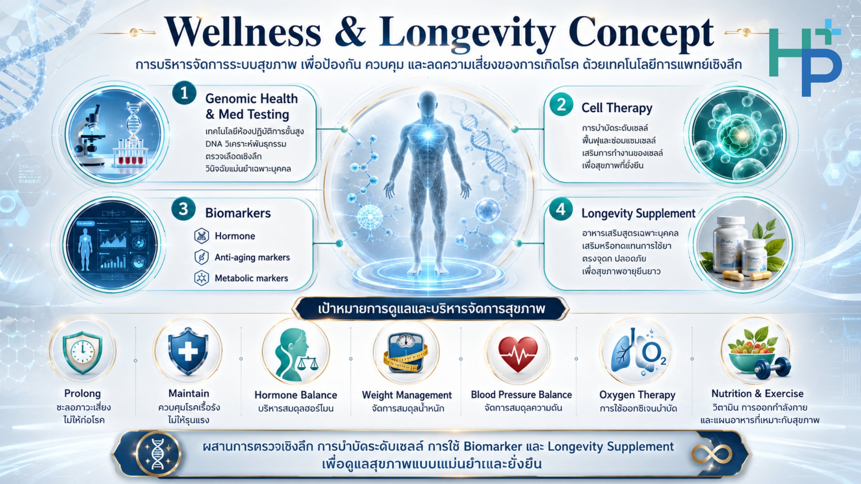 แนวคิด Wellness & Longevity — 4 เสาหลักและเป้าหมายการดูแล